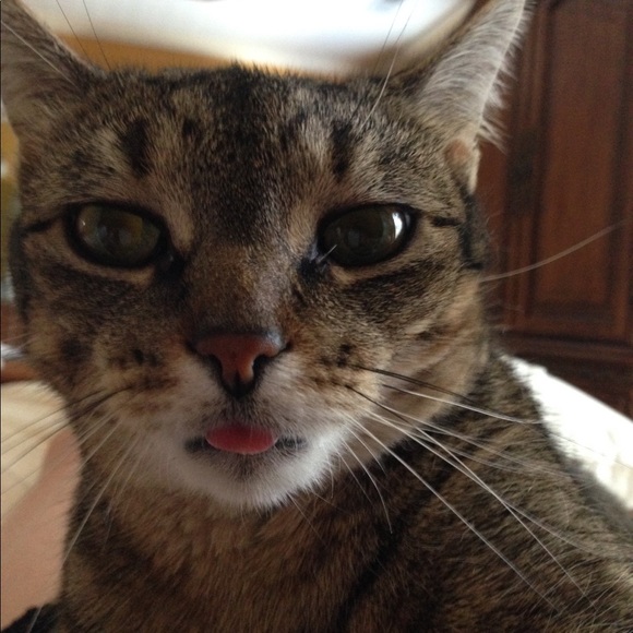 Meet your Posher, Susan! 5 Star Rated Seller! - Picture 5 of 8